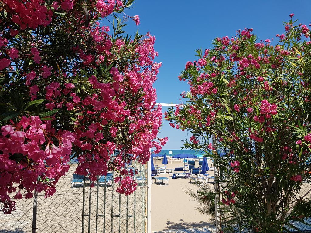 Hotel Gabbiano Beach Vieste Exterior photo